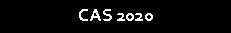 Cuadro de texto: CAS 2020                                               